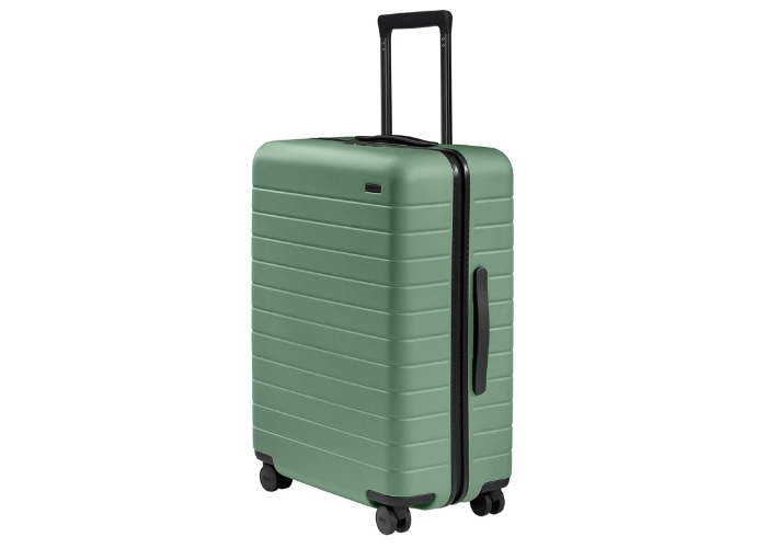 Away Large Checked Luggage