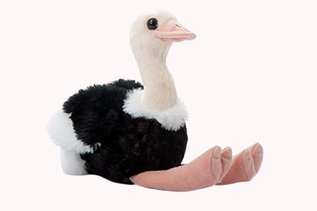 Ostrich Plush Toy Ostrich Plush Toys are also great option as Gifts that Start with the letter O