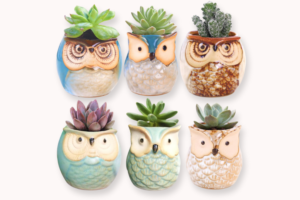 Owl-Shaped Ceramic Planters Owl-Shaped Ceramic Planters are Unique gifts that start with the letter o