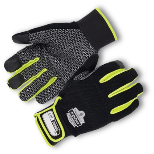 Ergodyne ProFlex 850 Insulated Freezer Gloves