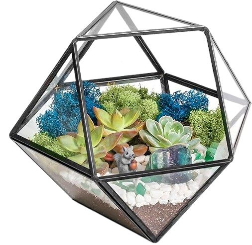 DIY Terrarium Kit
