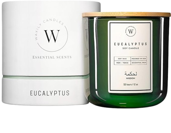 Waxily Eucalyptus Soy Candle