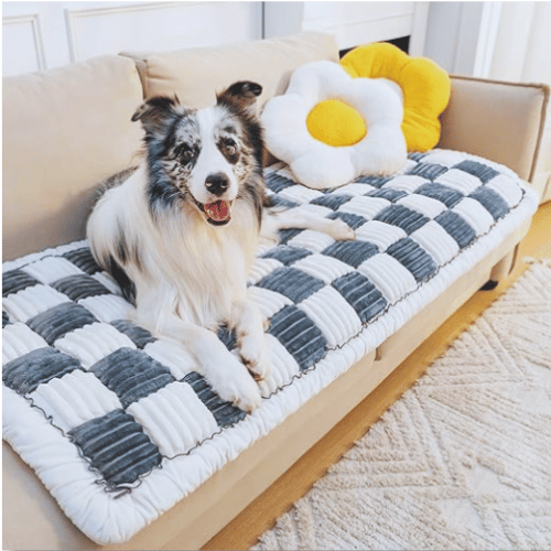 FUNNY FUZZY Pet Couch Covers