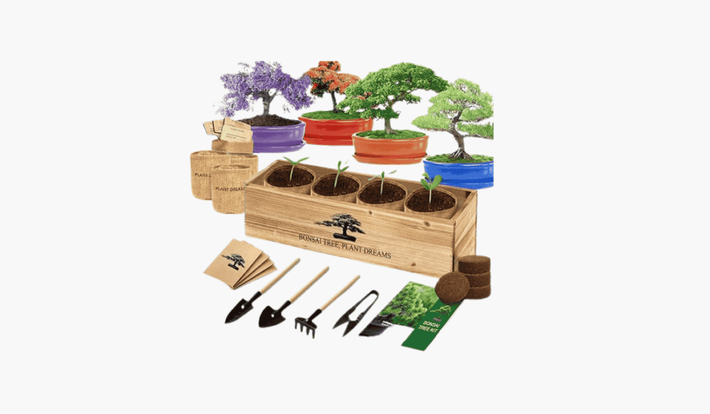 Houseplant or Plant Starter Kit